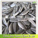 High Quality 24/64 Sunflower Seeds