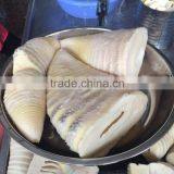 Fresh 2950gram Winter/Spring Canned Tomato Paste