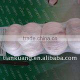 Chinese Normal Garlic thumbnail-1