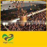 The First Choice for Arabica Coffee Beans - Best Price for Bulk thumbnail-2