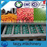 Professional Making Machine Garlic Grading Machine thumbnail-2