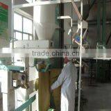 Sunflower Seeds Long Shape thumbnail-3