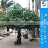 Decorative Big Trees Banyan Tree thumbnail-1