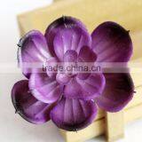 Wholesale Artificial Succulent Plants Mini Succulent Plants Succulent Plants Tropical Plants thumbnail-5