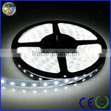 5m 12v Waterproof 5050 Cool White Led Strip