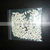 White Kidney Beans thumbnail-1