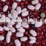 Natrual Adzuki Bean thumbnail-1