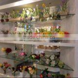 Shenzhen HYS Trading Co., Ltd. company overview - view 1 thumbnail