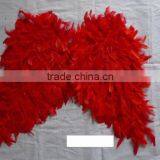 Red Angle Wing