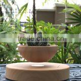 Levitation Plant Pots Hovering Plant Pots thumbnail-5