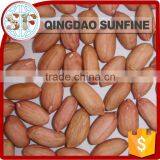 Price of Raw Peanut Seed Kernel thumbnail-4