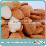 2016 Bulk Buying Top Quality Food Ingredients Sweet Apricot Kernel From China Factory thumbnail-3