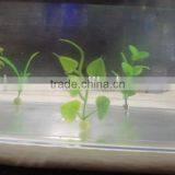 Mini Artificial Colorful Plastic Aquarium Plants thumbnail-1