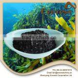Top Application Economical Price Organic Seaweed Based Fertilizer thumbnail-3