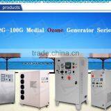 Global Sales Ozone Generator Industrial Ozone Air Purifier