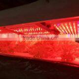 Greenhouse Price thumbnail-4