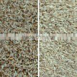 China Best Mini Rice Color Sorter 4 T/h Small Rice Color Selector thumbnail-3