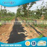 Hot Selling 2016 Pp Non-Woven Fabric 100% Polypropylene Agricultural Product thumbnail-3