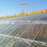 New Discount !!LDPE Agricultural Film/LDPE Agricultural Film for Greenhouse Film/greenhouse Film thumbnail-2