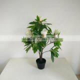 Factory Direct Sale Ornamental Fake Magnolia Flower Tree thumbnail-5
