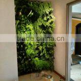 High Quality Artificial Grass Wall/vertical Wall for Landscaping thumbnail-1