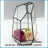 Lovely Wholesale Plant Geometric Glass Terrarium Glass Container Glass Ball thumbnail-4