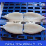 Frozen Seafood Squid Tube thumbnail-2