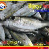 FROZEN BIGEYE SCAD WHOLE ROUND thumbnail-2