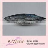 Seafoods Live Fish Skipjack Whole Tuna thumbnail-1