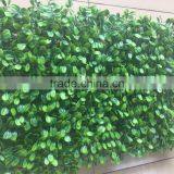 2017 Factory PE Decorative Artificial Plant Grass Wall thumbnail-2