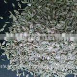 Organic Fennel Seed thumbnail-1