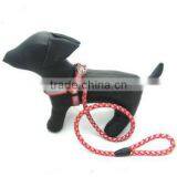 Custom Safety Dog Collar Pets Lead Leash