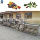 Fruit and Vegetable Cleaning Equipment Blueberry Washing Machine Orange Fruit Washing Machine thumbnail-7