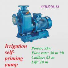 Centrifugal Pump Irrigation Self-priming Pump thumbnail-3