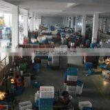 Dongyang Maps Cup Co., Ltd. company overview - view 3 thumbnail