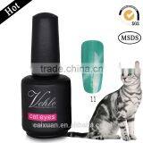 Factory Oem Soak off Nails Art Gel Polish Cat Eye Color Gel Nail Polish thumbnail-3