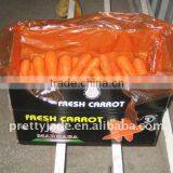 Chinese Low Price Fresh Carrot thumbnail-1
