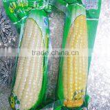 Heat Seal Fresh Vegetable Vacuum Packaging Bag/Vaccum Bag/Sugarcane Fruit Vacuum Bag thumbnail-5