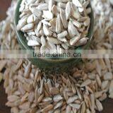 Sunflower Kernels for Oil Extract Refined thumbnail-2