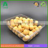 Transparent PS PP PET Disposable Plastic Vegetable Tray Tomato Tray thumbnail-2