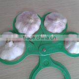 Season Garlic Supplier Red Garlic Sale thumbnail-1