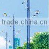 Modern Sodium Road Lamp DL-34905 thumbnail-1