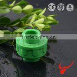 2016 Polyethylene Raw Material Plastic Union in Ppr Pipe and Fittiongs