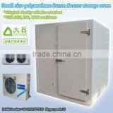 Small Size Polyurethane Frozen Freezer Storage Room