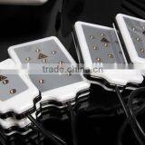 Home Use Cold Laser Beauty Machine,soft Laser Beauty Machine thumbnail-4