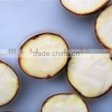 wholesale chestnut from china fresh and big