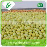 Fresh Sweet Honey Pomelo in Box thumbnail-5