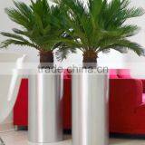 Fashion Design Bonsai Pot Stainless Steel Flower Container and Flowers Pots thumbnail-5