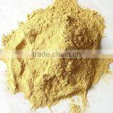 Dehydrated Ginger Powder thumbnail-1