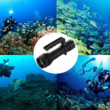 Searchlight Taiwan company overview - view 1 thumbnail